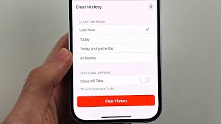 How To Clear History on Safari in iPhone iOS 18 [upl. by Hoppe286]