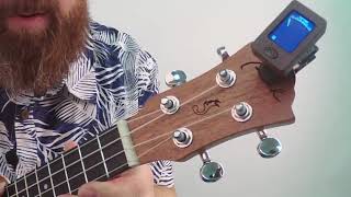 How to tuning ukulele with digital tuner [upl. by Eedna]