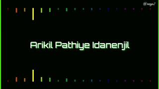 Arikil pathiye idanenjil  Lyrics Video  Pilimbee [upl. by Oiramej940]