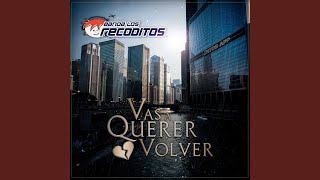 Vas A Querer Volver Preview [upl. by Orelu]