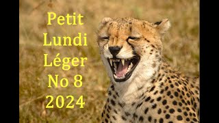 Petit lundi léger no 8 2024 [upl. by Eednar968]