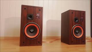 Cerwin vega re 20 speakers [upl. by Mcclees]