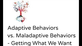 Adaptive vs Maladaptive Behaviors [upl. by Darce]