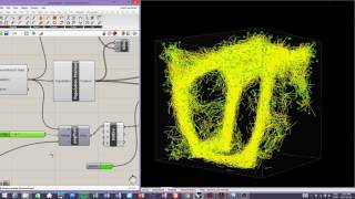 Physarum polycephalum simulation 7 [upl. by Spielman663]