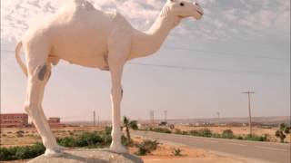 Jbayri  ytekhabel music sahraoui [upl. by Picardi]