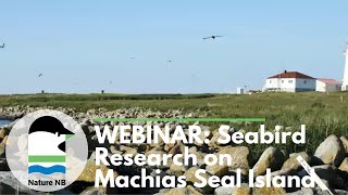 Seabird Research on Machias Seal Island  Webinar [upl. by Eetnahs312]