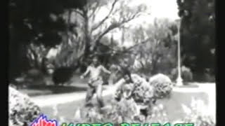 mujhe kitna pyar hai tumseDil Tera Deewana1962Shammi Kapooramp Mala SinhaShailendraS Ja tribute [upl. by Sherar]