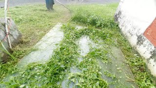 grass cutting machine viralvideo grasscuting swapanadhikary [upl. by Neersan]