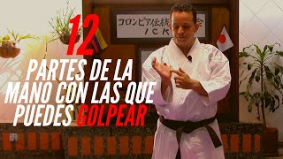 🤜12 partes de la mano🤛 TÉCNICAS DE MANO EN KARATE💥 [upl. by Malka]