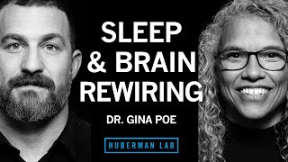 Dr Gina Poe Use Sleep to Enhance Learning Memory amp Emotional State  Huberman Lab Podcast [upl. by Etnuad]