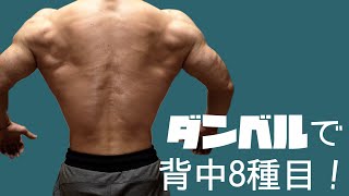 ダンベルで背中を鍛える8種目！ホームトレーニングのススメダンベル編vol9 [upl. by Urbanus326]