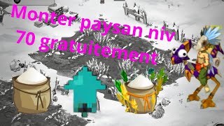 Dofus touch  Astuce paysan de 0 à 100  Explicationsdétails [upl. by Sirtaeb]