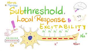 Subthreshold Stimulus Local Response Catelectrotonus Anelectrotonus  Nerve Physiology [upl. by Yliah]