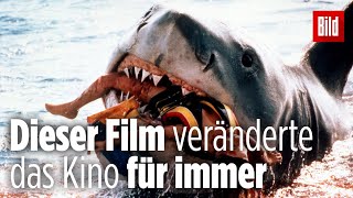 Der Sommer als Steven Spielberg den Blockbuster erfand  45 Jahre „Der Weiße Hai“ [upl. by Louanna]