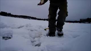 Ice Fishing Beaver Lake Great Meredith Rotary Derby 2021 [upl. by Auqenehs]