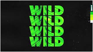 Ben Kim amp Piero Pirupa  Wild Lyric Video [upl. by Ylloj]