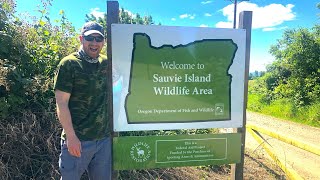 Exploring Sauvie Island Oregon [upl. by Ignacia]