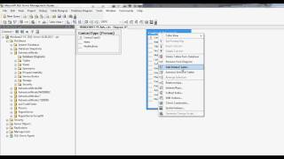 SQL Server Database Diagram in SQL Management Studio [upl. by Nishi]