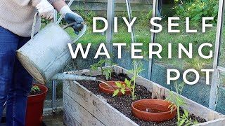 DIY SelfWatering Pot for the Garden Olla Update [upl. by Waxman509]