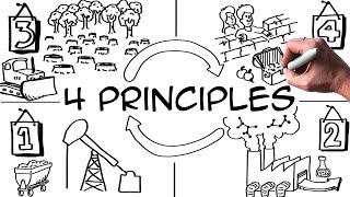 4 Principles to Win the Sustainability Game conditions of success [upl. by Asiela]