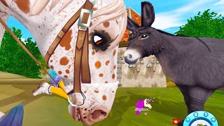 Mini Donkey Search  Star Stable Online Horse Quest Video [upl. by Monro]