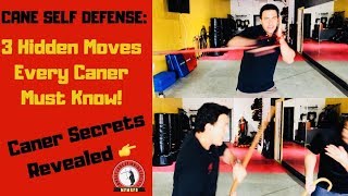 Cane Self Defense 3 Hidden Moves Every Caner Must Know [upl. by Calmas]