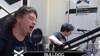 Bulldog Piu avantiacustico en ciudad animal vorterixRosario [upl. by Hildy198]