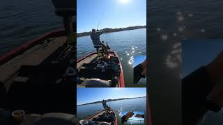 Deep Crappie Fishing [upl. by Gainer]