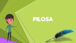 What is Pilosa Explain Pilosa Define Pilosa Meaning of Pilosa [upl. by Jinny]