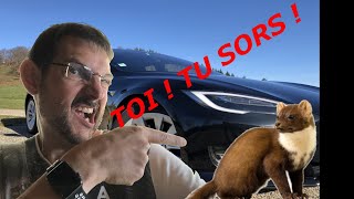 Tuto pour Protéger sa voiture contre les rongeurs pour moins de 40 euros en moins de 20 minutes [upl. by Hteazile]