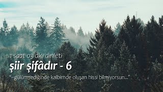 şiir şifâdır  en sevilenler  6 1 saat 3 dk dinleti [upl. by Eloccin]