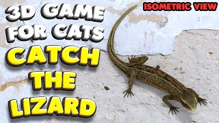 3D game for cats  CATCH THE LIZARD isometric view  4K 60 fps stereo sound [upl. by Asyla98]