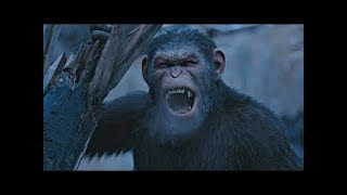 quotLeave Himquot Scene  War for the Planet of the Apes 2017LOWI [upl. by Selemas1]