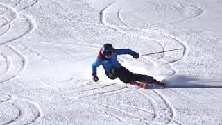 WORLD CUP SKI RACERS FREE SKIING 6 [upl. by Sancha]