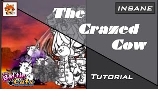 INSANE The Crazed Cow Head Shaker [upl. by Lyns]