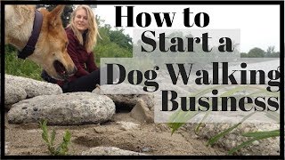 How to Start a SUCCESSFUL Dog Walking Business [upl. by Hank516]