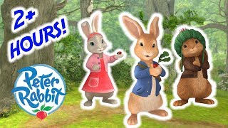 Peter Rabbit  Little Rabbit Bedtime Stories  Cartoons for Kids [upl. by Werby]