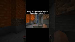 Minecraft Meme [upl. by Abisia266]