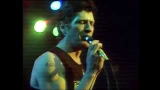 Herman Brood amp His Wild Romance Live  Rockpalast 09121978 [upl. by Kennard]