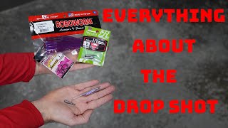 Everything You Need To Know About The Drop Shot Drop Shot 101 [upl. by Epperson]