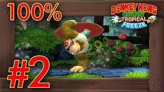 OLD Donkey Kong Country Tropical Freeze Review Nintendo Switch [upl. by Carmen]