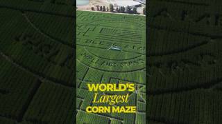 Guinness World Record Corn Maze 65 Acres Cool Patch Pumpkins Fall Tradition Dixon California [upl. by Atal168]