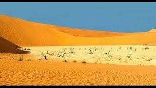 Desert Documentary HD  Kalahari Desert Wildlife Documentary [upl. by Bock]