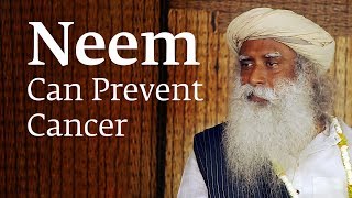 How Consuming Neem Can Prevent Cancer – Sadhguru [upl. by Ardrey]