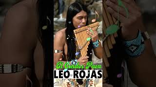 LEO ROJAS  El Condor Pasa  Matsuri [upl. by Weig109]