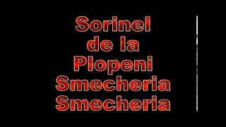 SORINEL DE LA PLOPENI SMECHERIA SMECHERIA [upl. by Katrina]