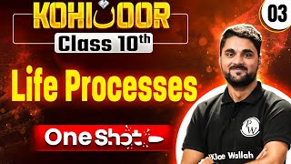 JKBOSE Class 10th Science  LIFE PROCESSES  Full Chapter  Kohinoor Batch [upl. by Garreth]