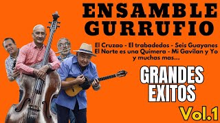 ENSAMBLE GURRUFIO EXITOS [upl. by Atteiluj38]