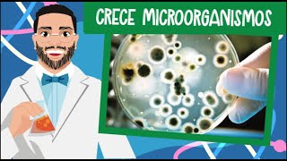 Experimentos Científicos para Niños de 8 KJ Science Box👨‍🔬 Microorganismos 🦠  Cultivo Bacteriano [upl. by Heger163]