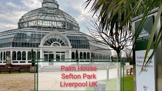 Sefton Park Palm House Liverpool with music and coffee 🎼☕️🍰Inside tour then outdoor garden walking [upl. by Hock]